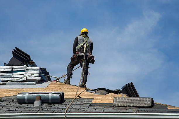 Professional Roof Replacement technician working in Casco, MI